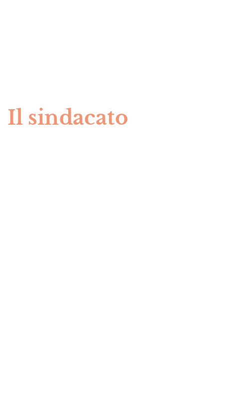 Il sindacato