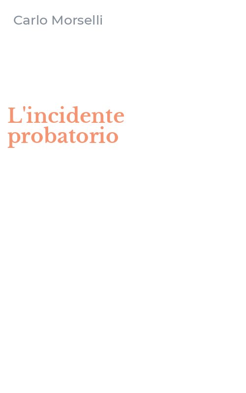 L'incidente probatorio