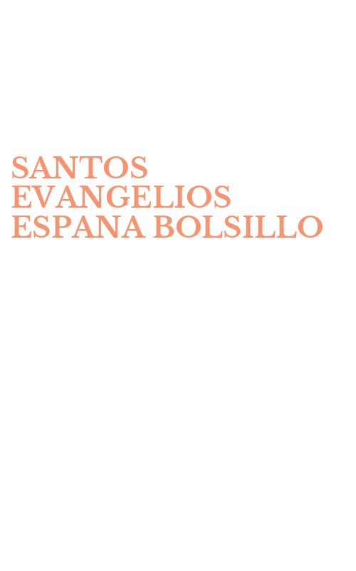 SANTOS EVANGELIOS ESPANA BOLSILLO