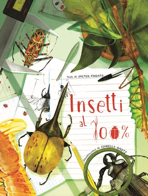 Insetti al 100%