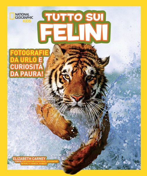 Tutto sui felini