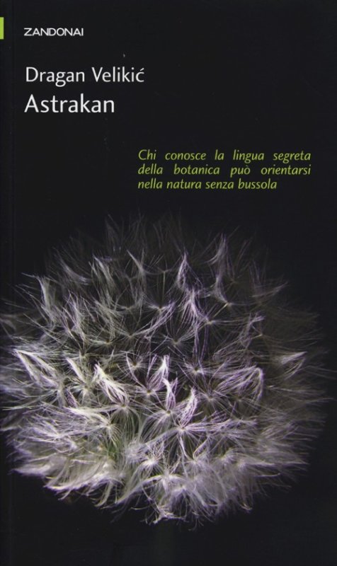 Astrakan