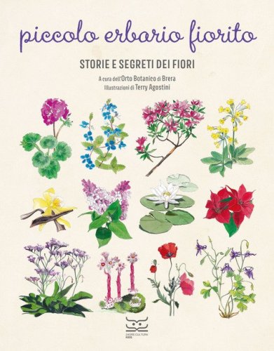 Piccolo erbario fiorito