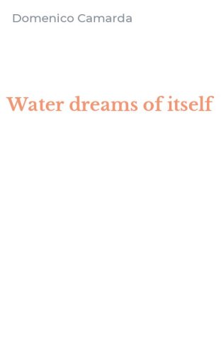 Water dreams of itself