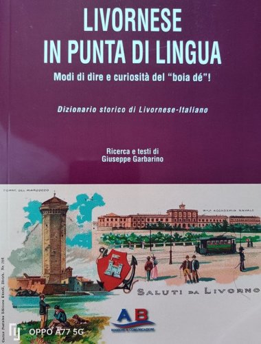 Livornese in punta di lingua. Modi di dire e curiosit&agrave; del &laquo;boia d&eacute;&raquo;