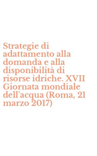 Strategie di adattamento alla domanda e alla disponibilit&agrave; di risorse idriche. XVII Giornata mondiale dell'acqua (Roma, 21 marzo 2017)