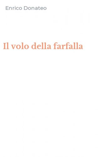 Il volo della farfalla