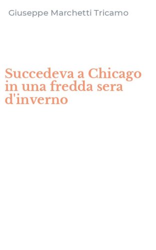 Succedeva a Chicago in una fredda sera d'inverno