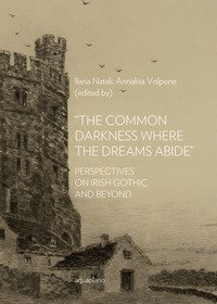 &laquo;The common darkness where the dreams abide&raquo;. Perspectives on Irish gothic and beyond