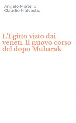 L'Egitto visto dai veneti. Il nuovo corso del dopo Mubarak