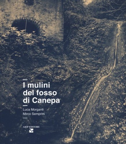 I mulini del fosso di Canepa