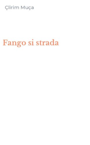 Fango si strada