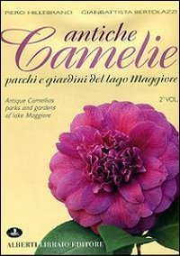 Antiche camelie del Lago Maggiore