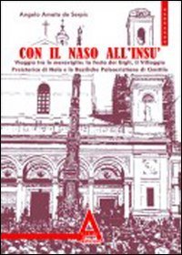 Con il naso all'ins&ugrave;. Viaggio tra le meraviglie: xa festa dei Gigli, il villaggio preistorico di Nola...