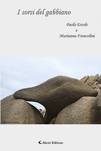 I sorsi del gabbiano