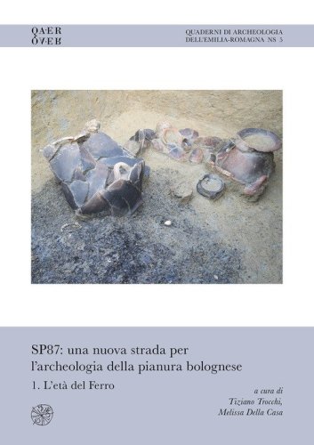 SP87: una nuova strada per l'archeologia della pianura bolognese