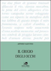 Il grigio degli occhi