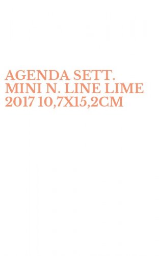 AGENDA SETT. MINI N. LINE LIME 2017 10,7X15,2CM