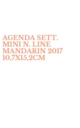 AGENDA SETT. MINI N. LINE MANDARIN 2017 10,7X15,2CM