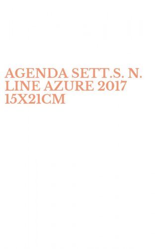 AGENDA SETT.S. N. LINE AZURE 2017 15X21CM