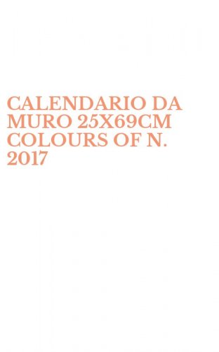 CALENDARIO DA MURO 25X69CM COLOURS OF N. 2017