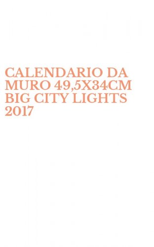 CALENDARIO DA MURO 49,5X34CM BIG CITY LIGHTS 2017