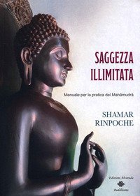 Saggezza illimitata. Manuale per la pratica del Mah&agrave;mudr&agrave;