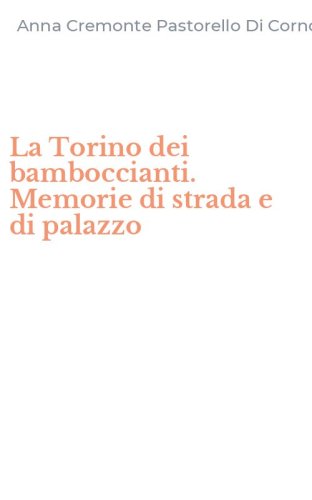 La Torino dei bamboccianti. Memorie di strada e di palazzo