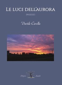 Le luci dell'aurora