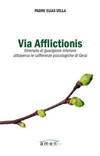 Via afflictionis. Itinerario di guarigione interiore attraverso le sofferenze psicologiche di Ges&ugrave;