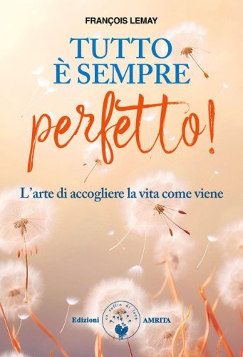 Tutto &egrave; sempre perfetto! L'arte di accogliere la vita come viene