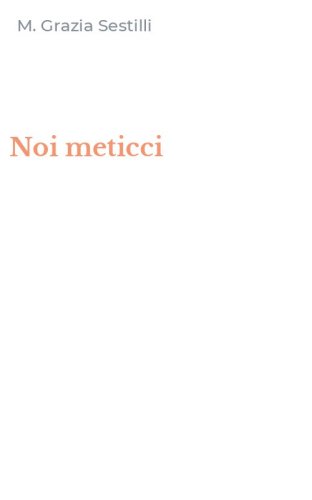 Noi meticci