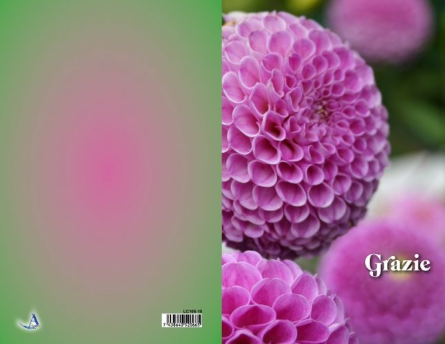 BIGLIETTO "GRAZIE" - Grazie. Misure 10 x 15 cm. Con busta bianca.