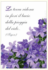 MAGNETI FIORI - Differenti motivi Dimensione  5,3 x 7,8 cm