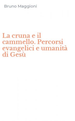 La cruna e il cammello. Percorsi evangelici e umanit&agrave; di Ges&ugrave;