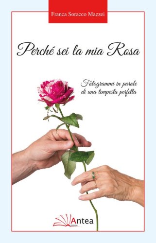 Perch&eacute; sei la mia Rosa. Fotogrammi in parole di una tempesta perfetta
