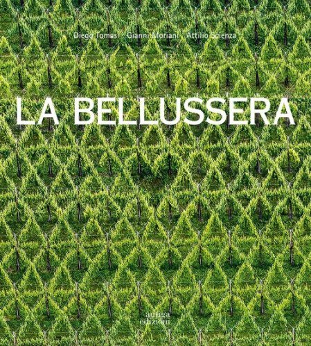 La Bellussera. Storia di un'invenzione che innov&ograve; la viticoltura