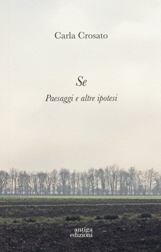 Se. Paesaggi e altre ipotesi