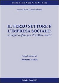 Il terzo settore e l'impresa sociale. Sostegni e sfide per il welfare state?