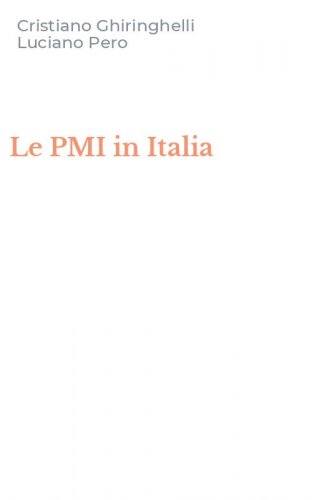 Le PMI in Italia