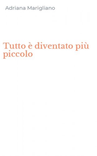 Tutto &egrave; diventato pi&ugrave; piccolo