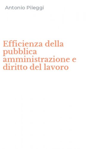 Efficienza della pubblica amministrazione e diritto del lavoro
