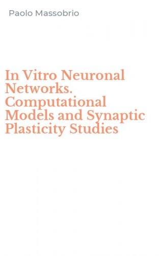 In Vitro Neuronal Networks. Computational Models and Synaptic Plasticity Studies