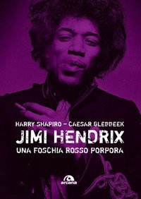 Jimi Hendrix. Una foschia rosso porpora