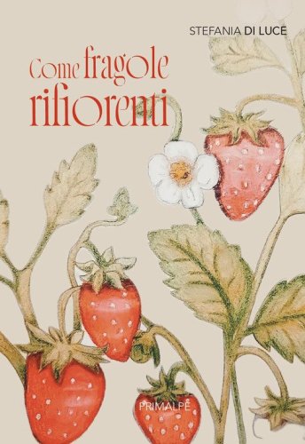Come fragole rifiorenti