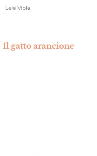 Il gatto arancione