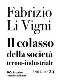 Il collasso della societ&agrave; termo-industriale