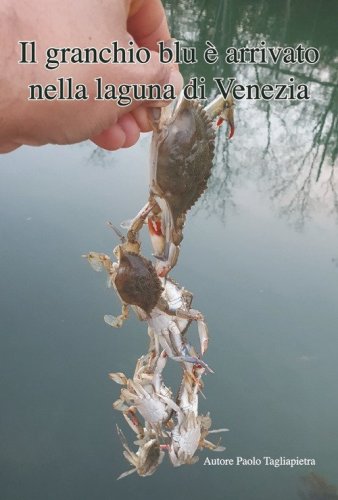 il granchio blu &egrave; arrivato nella laguna di Venezia