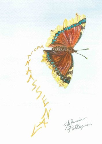 Vanessa antiopa. Raccolta di poesie