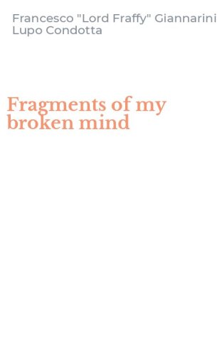 Fragments of my broken mind